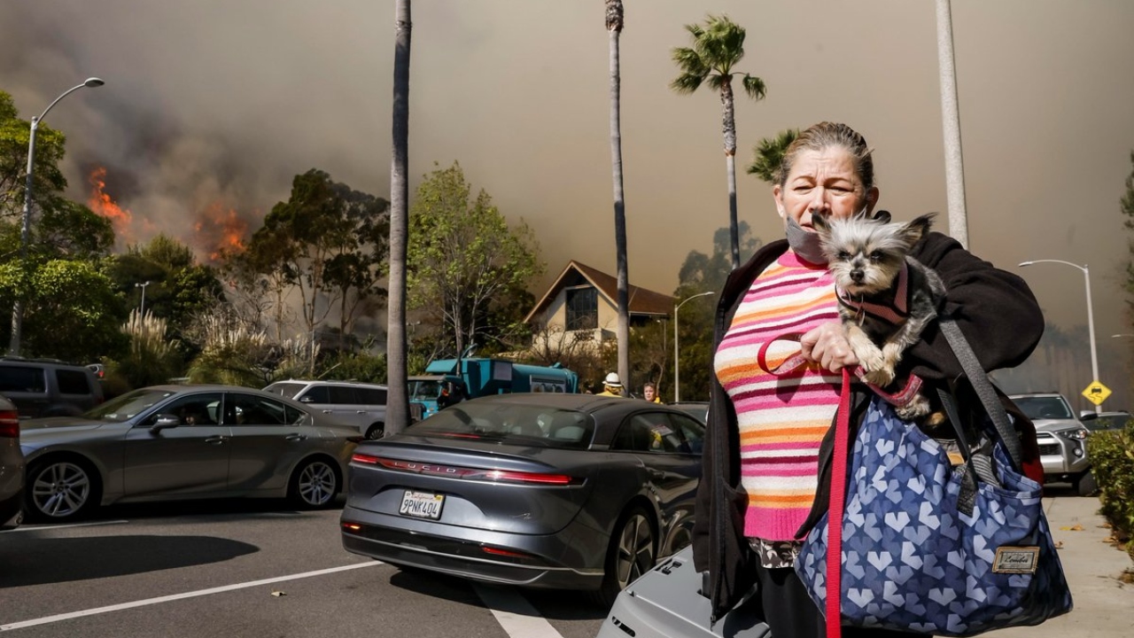 Más de 7500 bomberos intentan sofoccar los incendios.