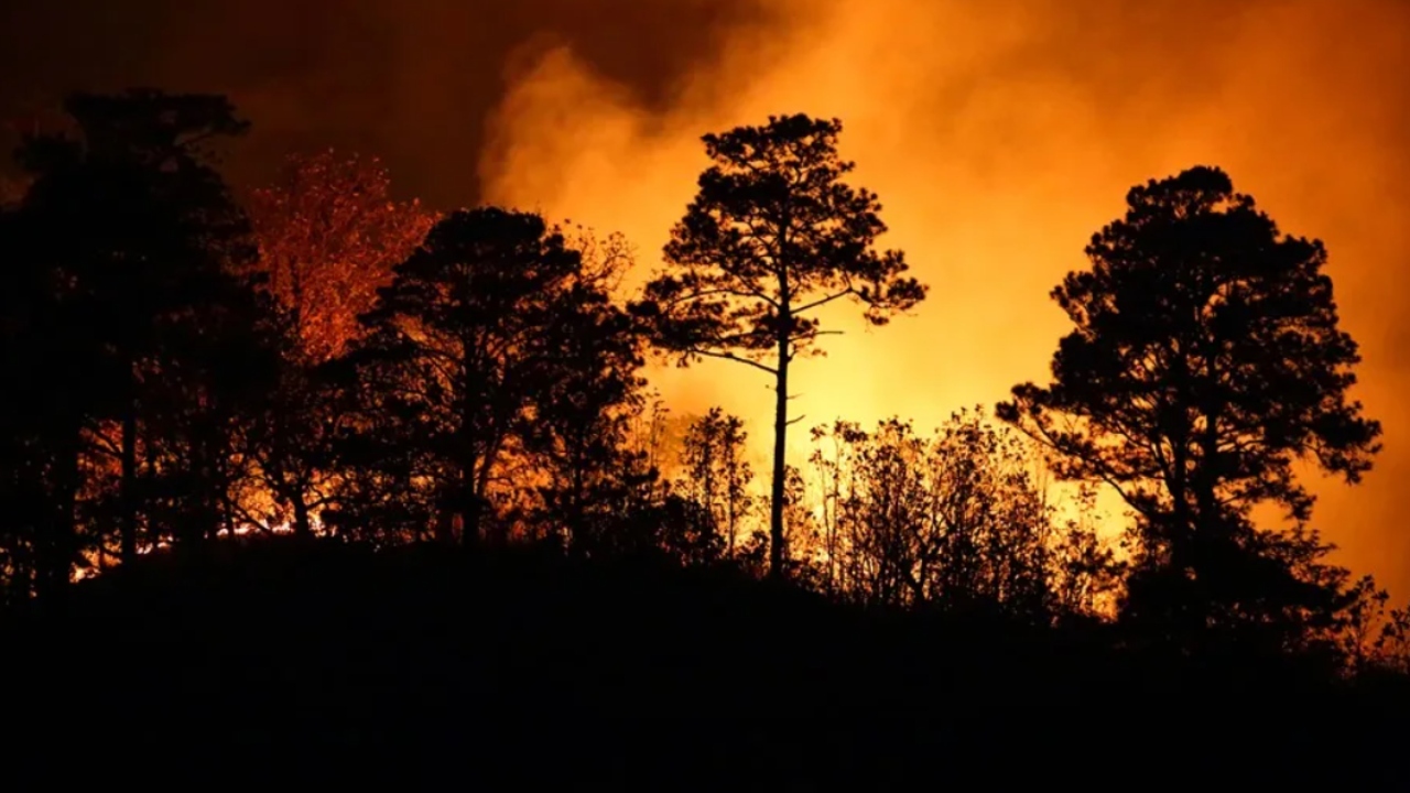 El informe del ICF detalla que en enero se registraron 14 incendios que afectaron 27 hectáreas.